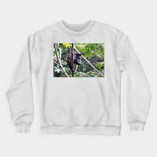 Howler monkey and baby Crewneck Sweatshirt